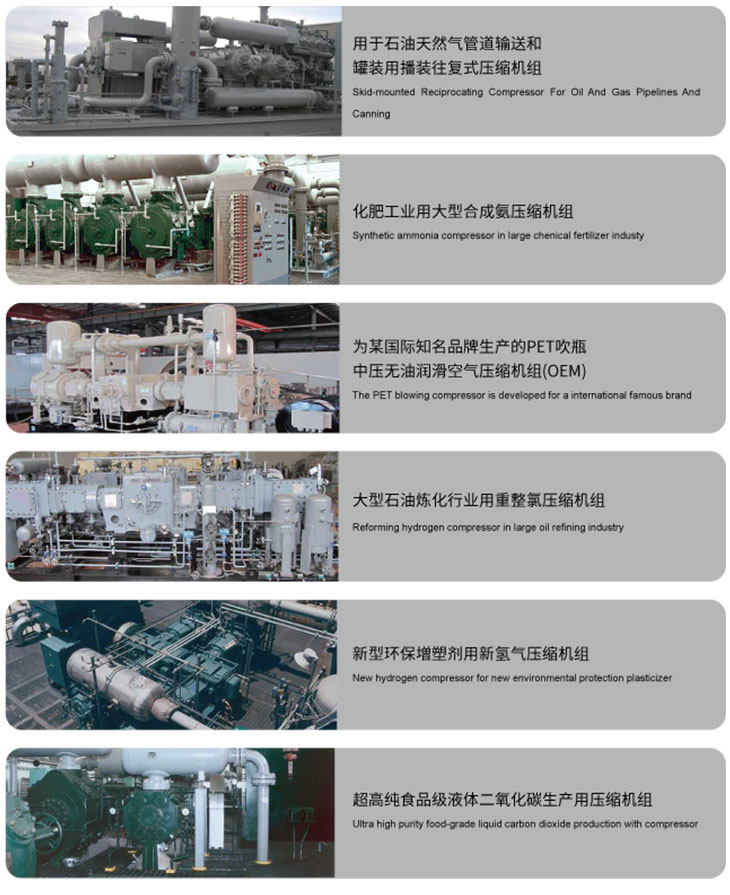 螺桿式工藝壓縮機